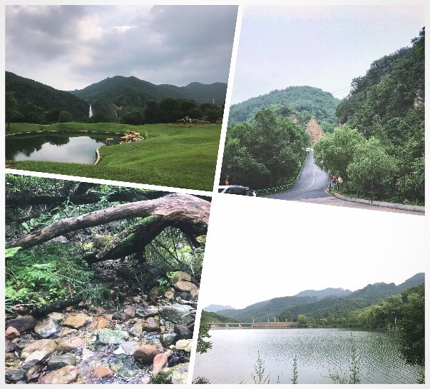 亚洲AV午夜成人片精品网站