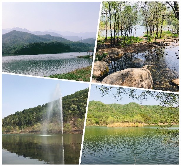 亚洲AV午夜成人片精品网站