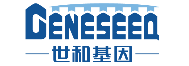 亚洲AV午夜成人片精品网站