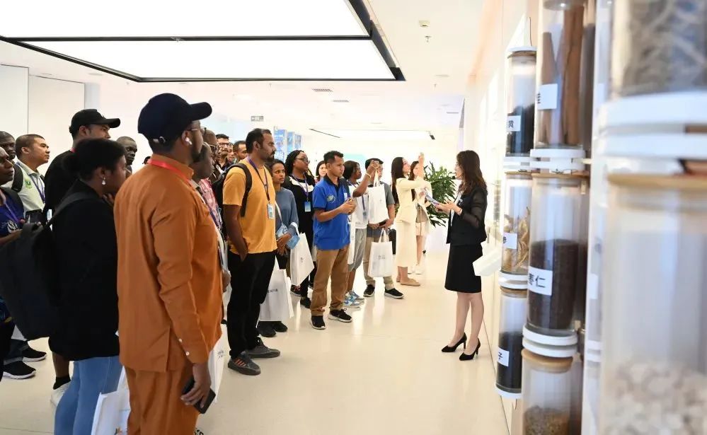 亚洲AV午夜成人片精品网站