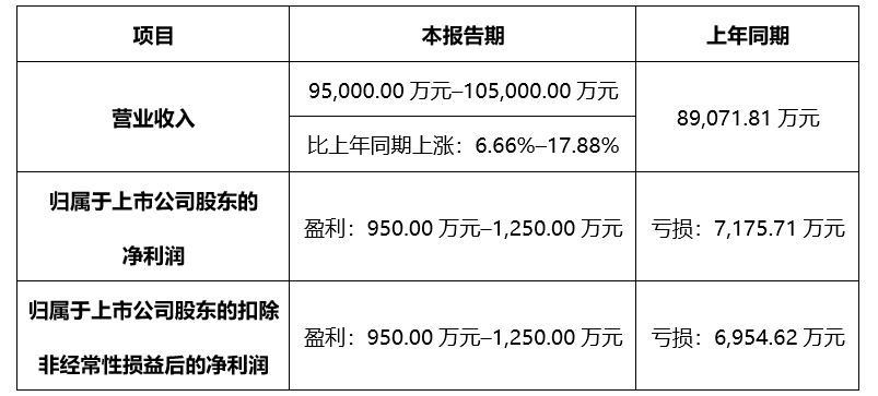亚洲AV午夜成人片精品网站